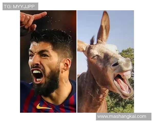 足球表情包球星趣味盘点带你看场上最欢乐瞬间