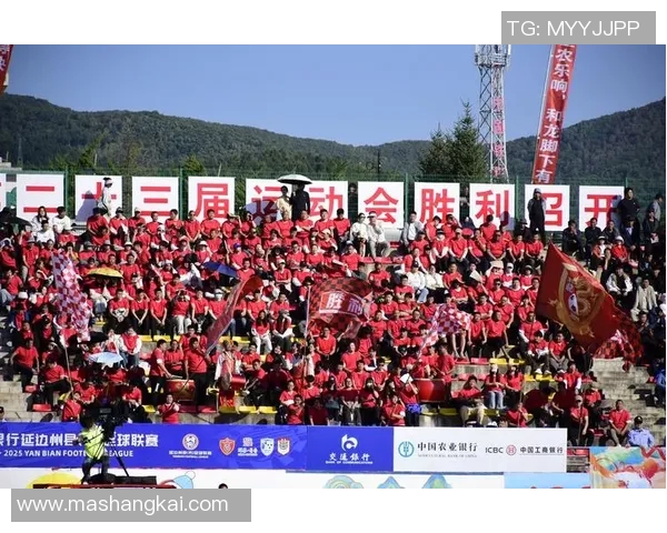 贝宁足球球星的成长历程与非洲绿茵场上的辉煌故事 贝宁足球球星的成长历程与非洲绿茵场上的辉煌故事